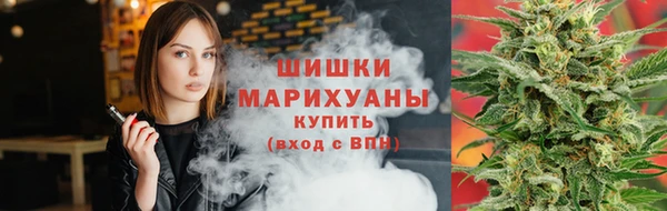 гидра Богородск