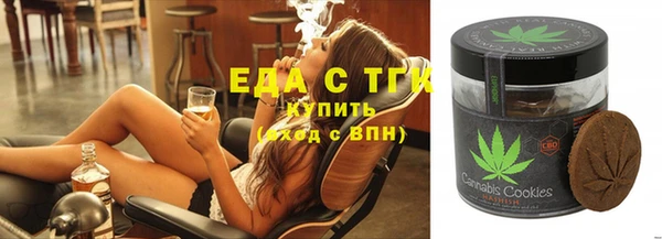 гидра Богородск