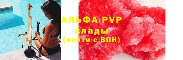 гидра Богородск