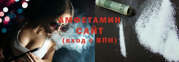 гидра Богородск