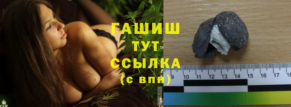 гидра Богородск