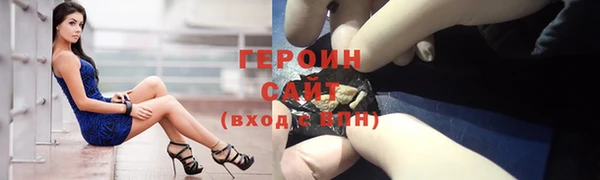 гидра Богородск