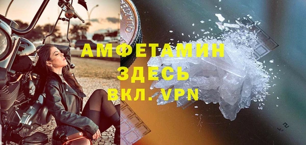 гидра Богородск