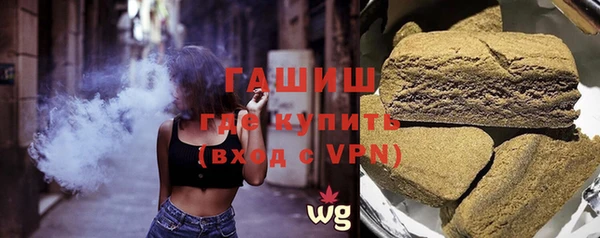 гидра Богородск