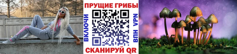 Галлюциногенные грибы прущие грибы  купить   Нариманов 